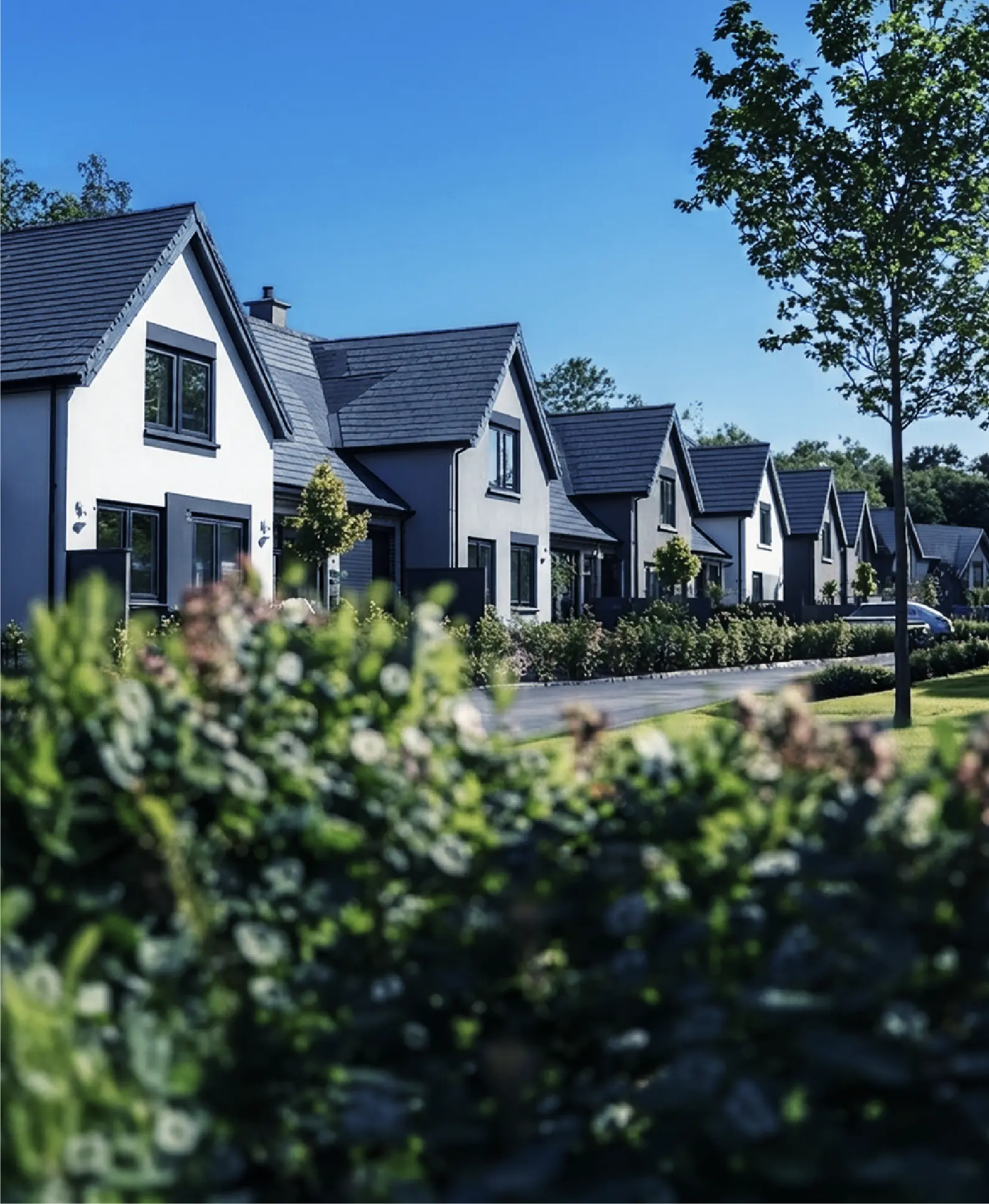 MEDIUM<br>LANDLORDS Portfolio